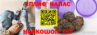 гашик Будённовск