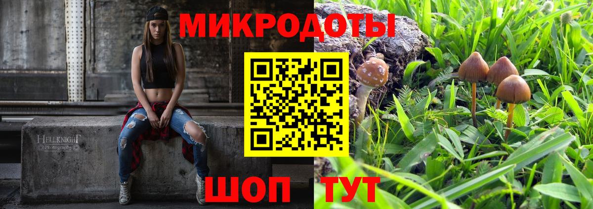 Псилоцибиновые грибы ЛСД Бузулук